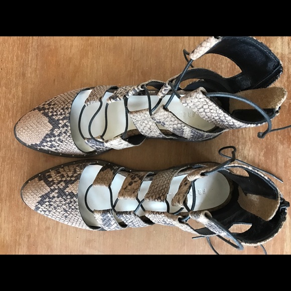 Freda Salvador Shoes - Freda Salvador size 7